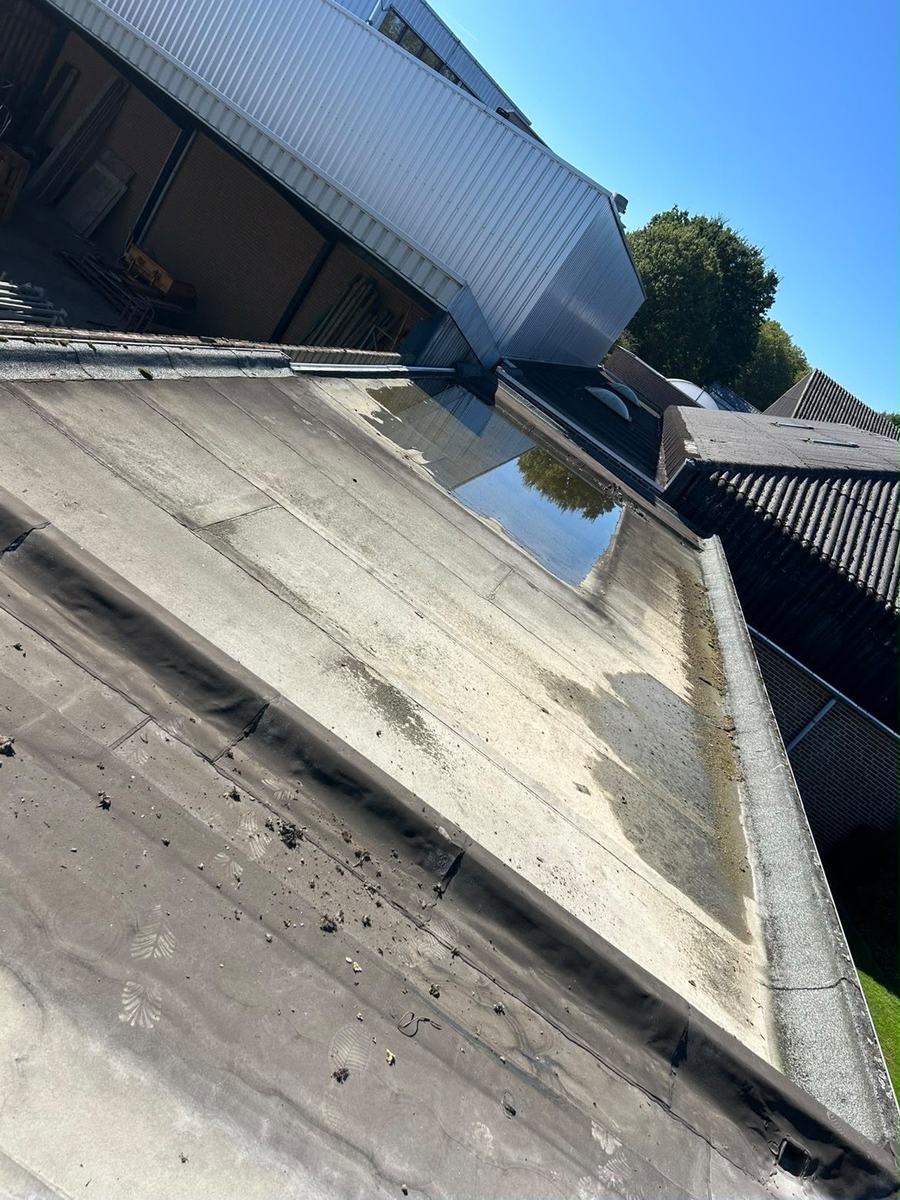 Twee aangrenzende platte daken in Nistelrode, waarvan op het achterste water blijft staan